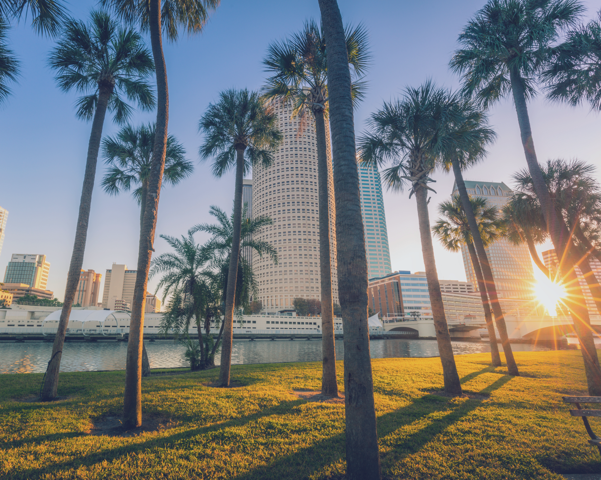 Tampa Florida Skyline with Palm Trees